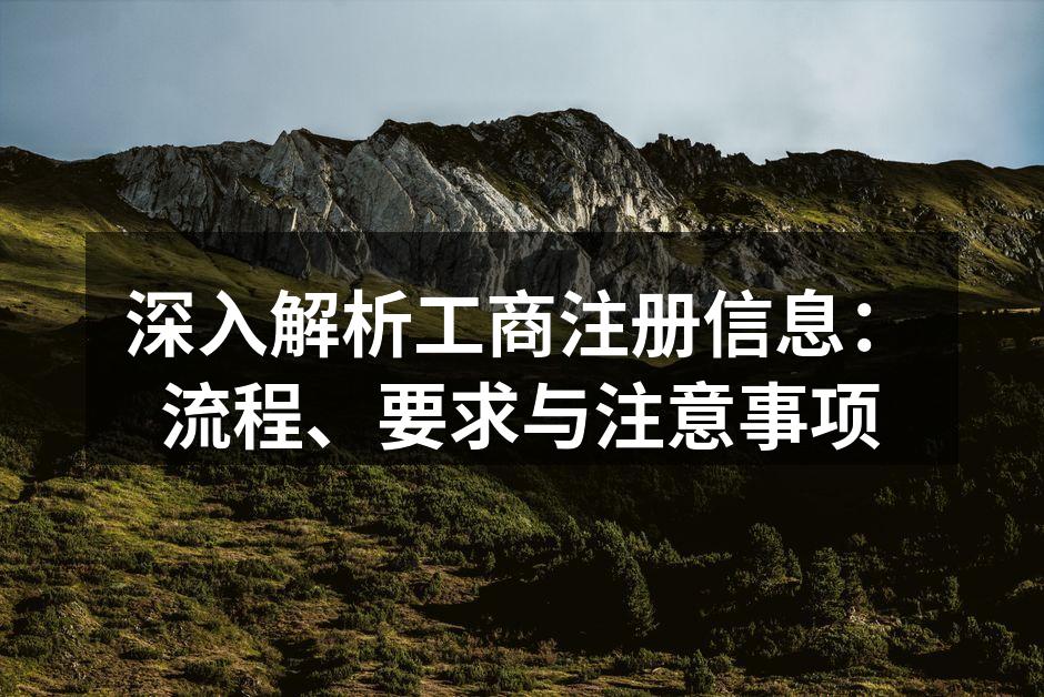 深入解析工商注册信息：流程、要求与注意事项